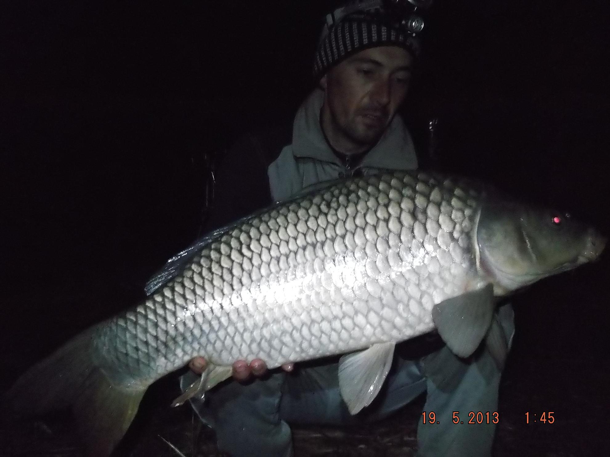 noaptea partea a ll - dscf0616.JPG